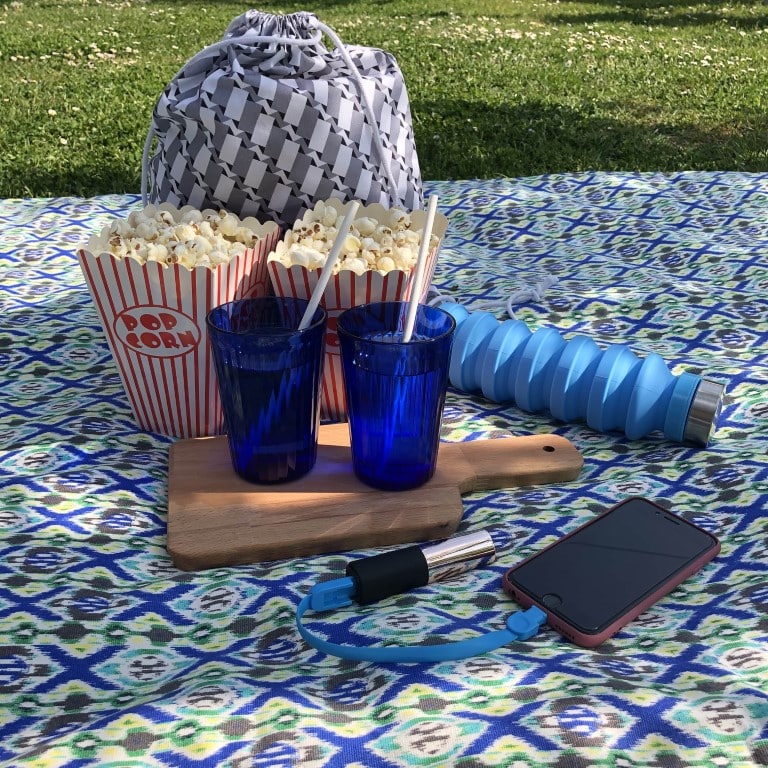 Come organizzare un pic-nic: tutto quello che ti serve - Candyslab